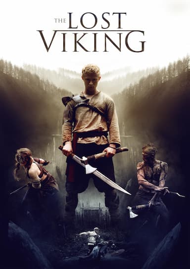 The Lost Viking-poster